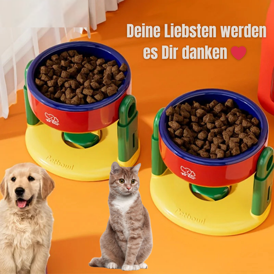 Glückliches Haustier mit gesundem Fressnapf