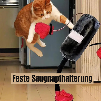 Interaktives Boxspielzeug für Katzen – Spaß, Bewegung & Stressabbau mit Stil!