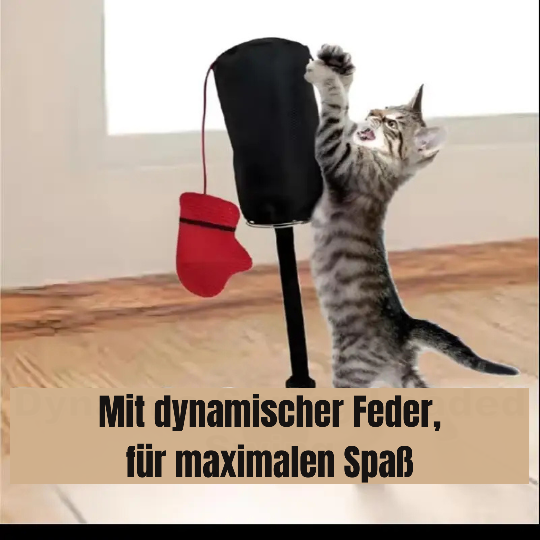 Interaktives Boxspielzeug für Katzen – Spaß, Bewegung & Stressabbau mit Stil!